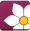 Blossom Word Game logo